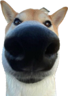 image0.png