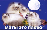 1770046516333.png