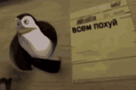 всемпохуй.gif