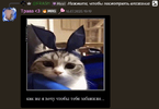 Снимок экрана 2026-02-12 201227.png