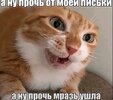 IMG_3431.jpeg