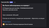 Снимок экрана 2026-04-16 103058.png