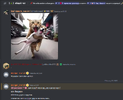 image-43.png