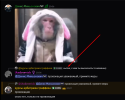 1784653918731.png