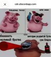 IMG_3863.jpeg