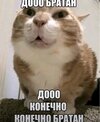 IMG_0789.jpeg