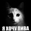 1787344134783.png
