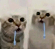 1787419085000.png