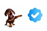 verify.jpg