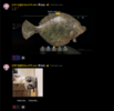 1789995879062.png