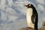 IMG_3733.jpeg