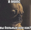 1790170631521.png
