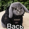 1790774893999.png