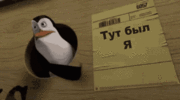 тутбыля.gif
