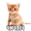 1790961235043.png
