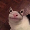 1791247010847.png