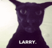 1791649465259.gif