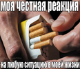 5d7a31e9733c5f89eac1eddbc7da91e6.png