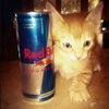 IMG_0466.jpeg