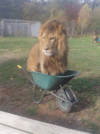 1792776351027.png