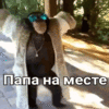 папаздесь-папанаместе.gif