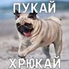 1792869305439.png