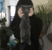 c41a5436-20ee-423b-a94b-0f8552a93e31.png