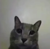 1725576863925.png