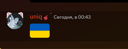 изображение_2025-01-26_005821315.png