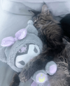 a8f32ac8-0e04-40d8-b3f8-41bc76ed138a.png