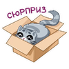 267660345-removebg-preview.png