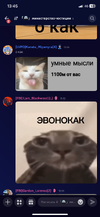 IMG_4621.png