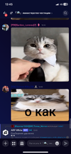IMG_4622.png