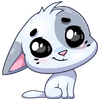 1744531017089.png