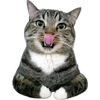 1744597967959.png