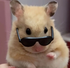 1746444790119.png
