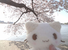 f271cd33-2a8b-402d-9dbf-8cfe9ed84154.png