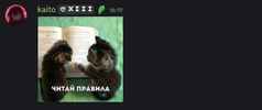 1747568094482.png