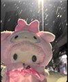 IMG_0343.jpeg