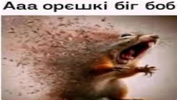 1755607261558.png