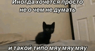 IMG_9496.gif