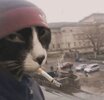 Без названия.jpg