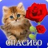 загрузка (61).jpg