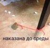 df4e27be591014627aebdc911972ede3.jpg
