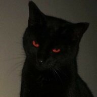 sᴀɴᴄʜᴇᴇsᴇོ