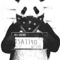 Mr.Panda07