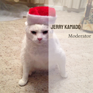 Jerry_Kamadoo