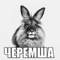 черемша