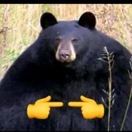 Grizzly_Lee