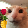 Jones_Sberet